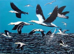 gaviotas_